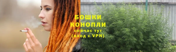 индика Беломорск