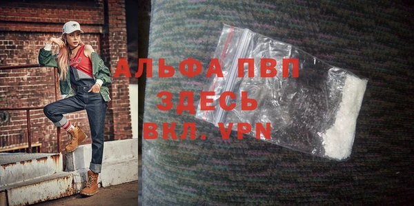 индика Беломорск