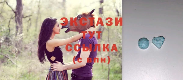 индика Беломорск