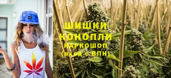 индика Беломорск