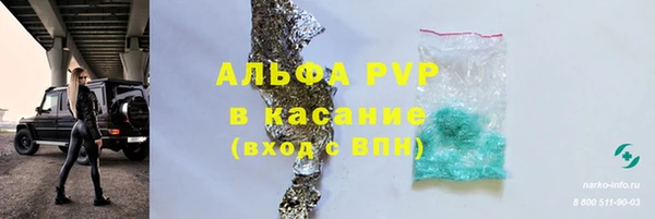 индика Беломорск