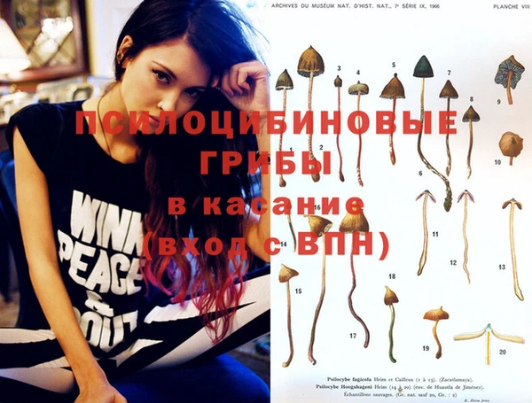 индика Беломорск