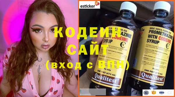 индика Беломорск