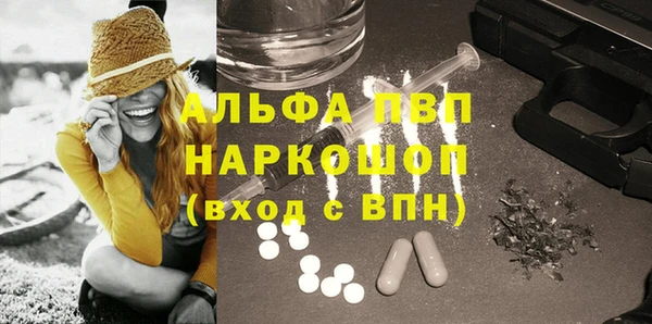 индика Беломорск