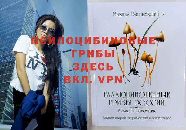 спайс Белоозёрский