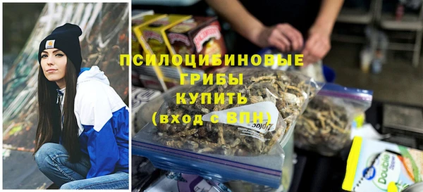 не бодяженный Белокуриха