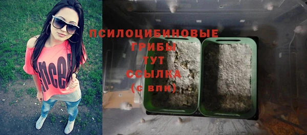 не бодяженный Белокуриха