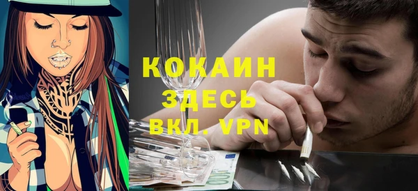 индика Беломорск