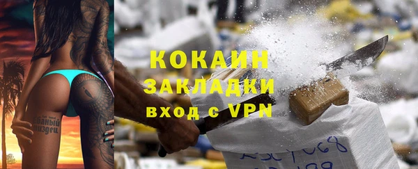 индика Беломорск